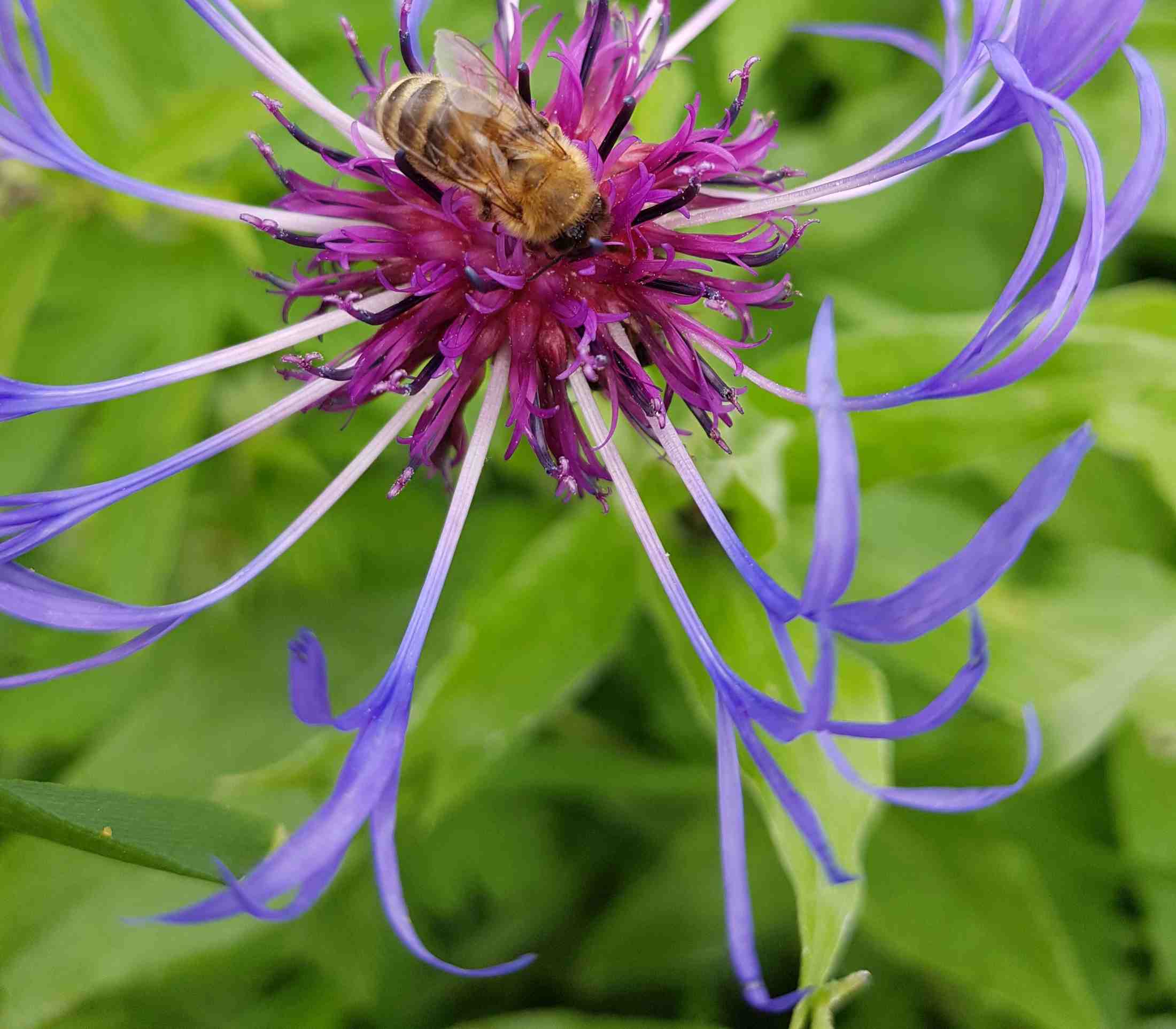 Steeds welkom voor een bezoek