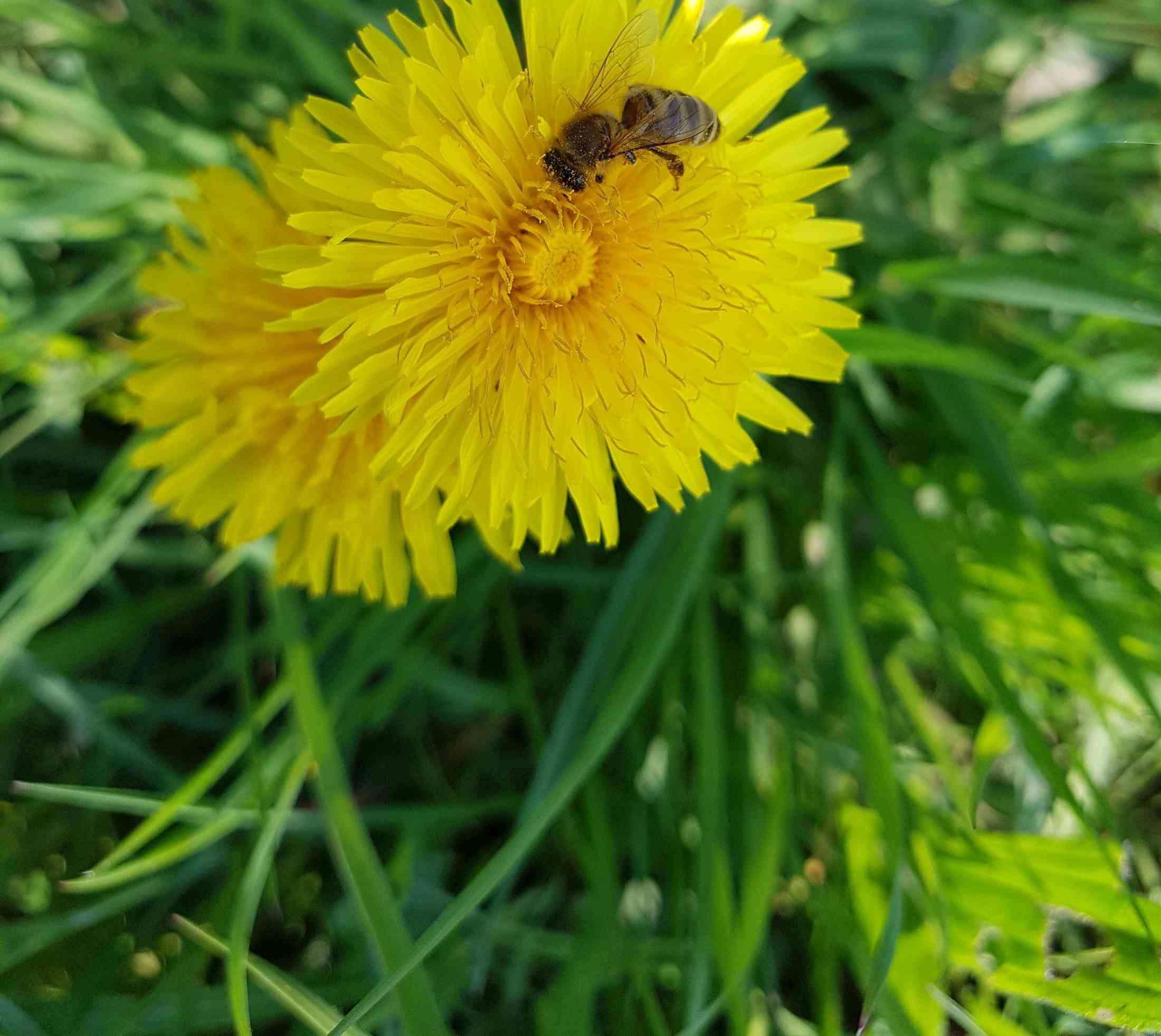 Steeds welkom voor een bezoek